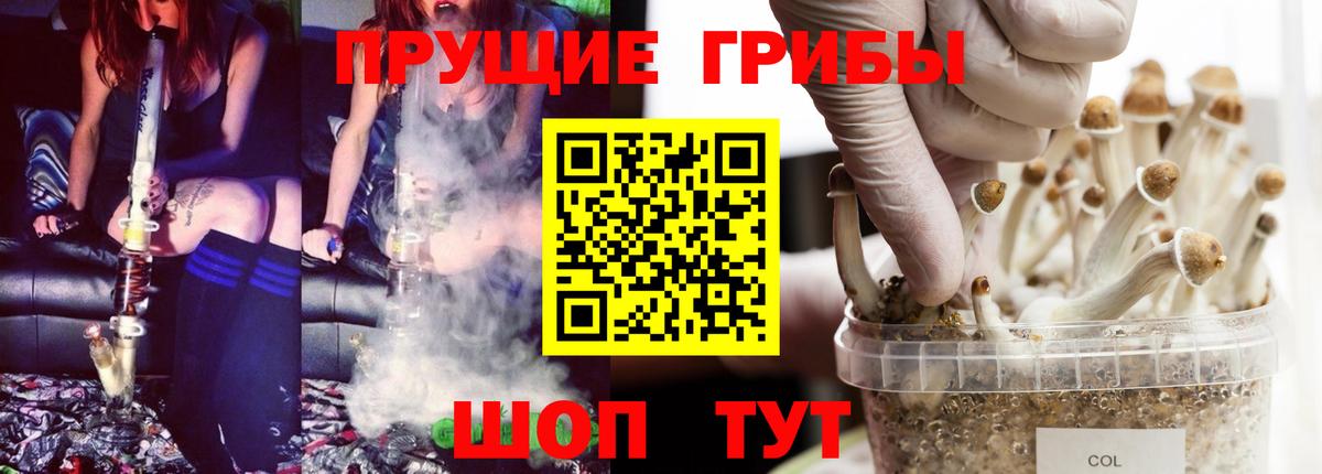 Галлюциногенные грибы мухоморы  как найти наркотики  Псилоцибиновые грибы Psilocybine cubensis  Лесосибирск  Вход с VPN 